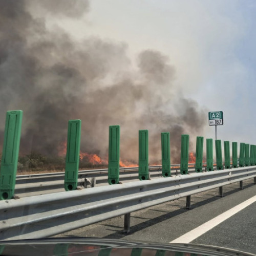 Video Incendiu de vegetație lângă Autostrada Soarelui: pompierii intervin cu mai multe autospeciale. Traficul rutier, oprit