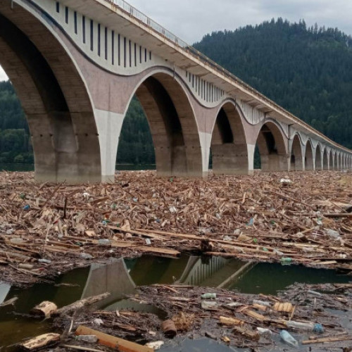 Stare de alertă în Poiana Teiului: Deșeuri și cadavre de animale au împânzit lacul Izvorul Muntelui (Bicaz) după inundații