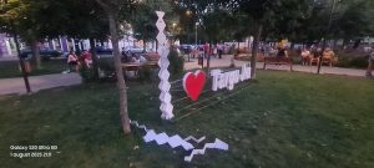 Image Description