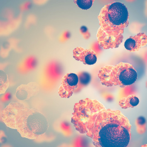 Punctul de cotitură al îmbătrânirii. Vârsta de la care organele din corpul uman încep să se deterioreze mai repede