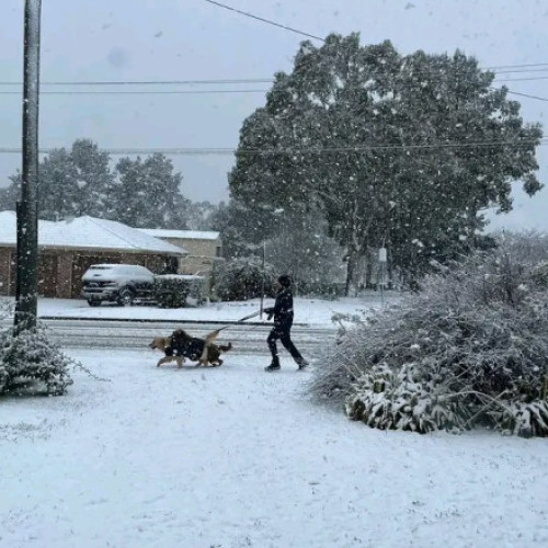 Video&Foto Fenomen rar, apărut în condiții meteo extreme: cel mai gros strat de zăpadă din ultimele decenii, în Australia