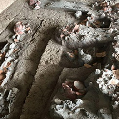 Foto Descoperire rară: dinți vechi de 4.000 de ani arată că oamenii consumau nuci cu efecte psihoactive