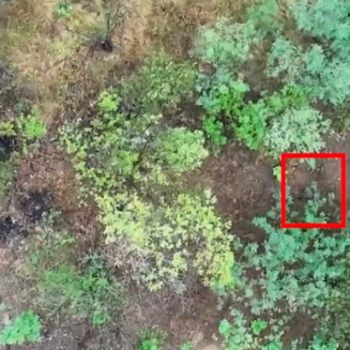 Video O brigadă militară ucraineană a publicat un videoclip șocant, în care apar femei ruse luptând în unități de asalt din prima linie