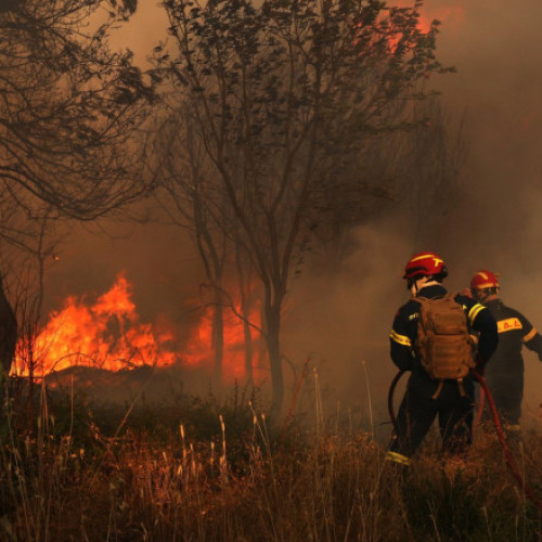 Video Aproape 50 de incendii au izbucnit în Grecia în ultimele două zile. 40 de pompieri români îi ajută pe salvatorii eleni în Attica