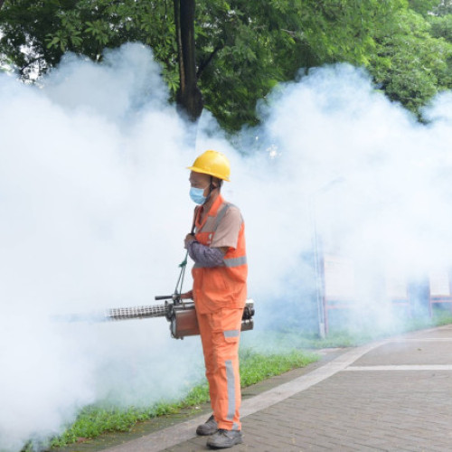 Restricții ca în pandemie, în China. Un virus transmis de țânțari se răspândește rapid în provincia Guangdong