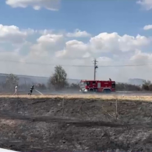 Video Incendiu în zona Autostrăzii A2 București - Constanța. Anunțul IGPR