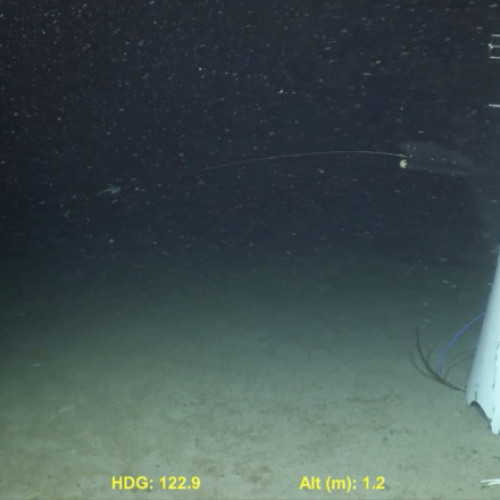 Implozia submersibilului Titan, în care au murit 5 oameni, putea fi prevenită. Concluziile autorităților SUA