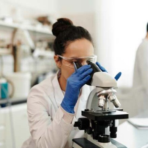 PROGRAM. Școala de vară de Microbiologie, la UMF Timișoara: sesiuni teoretice, demonstrații interactive și ateliere practice