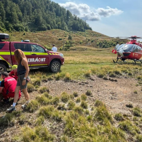 Video&Foto Copil mușcat de viperă într-o zonă turistică din Maramureș, preluat de un elicopter SMURD