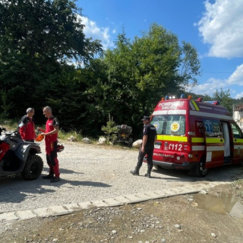Fată mușcată de câini în zona montană din Brașov. Au intervenit salvamontiștii. Avertisment Salvamont: Atenţie la câinii de stână