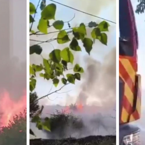 Video Incendiu puternic la marginea orașului Galați. Mai multe locuințe sunt în pericol