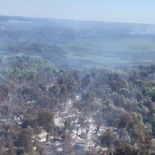 Video Incendii în Delta Dunării. Pompierii încearcă stingerea focului din aer și de pe apă