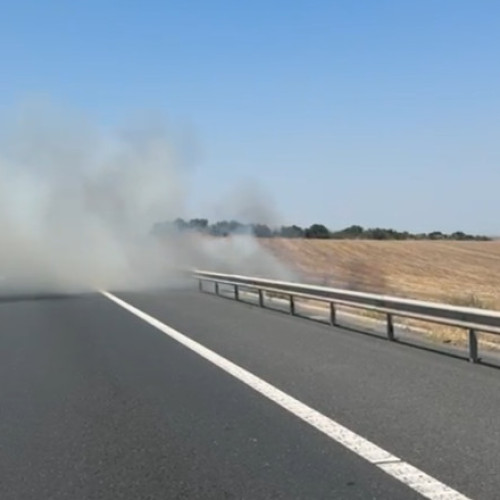 Video Autostrada Soarelui, închisă din cauza unui incendiu de vegetație. Traficul către București a fost deviat
