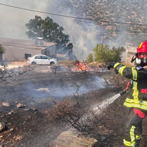 Video Pompierii români avertizează: peste 250 de incendii au izbucnit în doar 24 de ore. Câte hectare au ars și ce i se recomandă populației