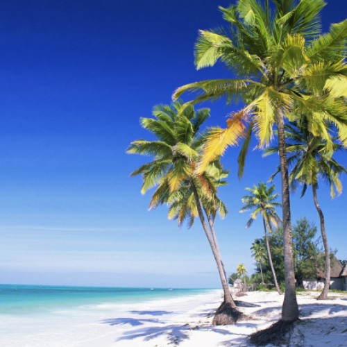 Peste 30 de persoane din Satu Mare, înșelate cu vacanțe fictive în Zanzibar. La cât se ridică prejudiciul