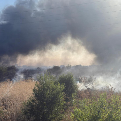 Video Incendiu de vegetație într-o comună din Ilfov. ISU: „Există pericolul de propagare la case. Se evacuează persoanele din zona afectată”