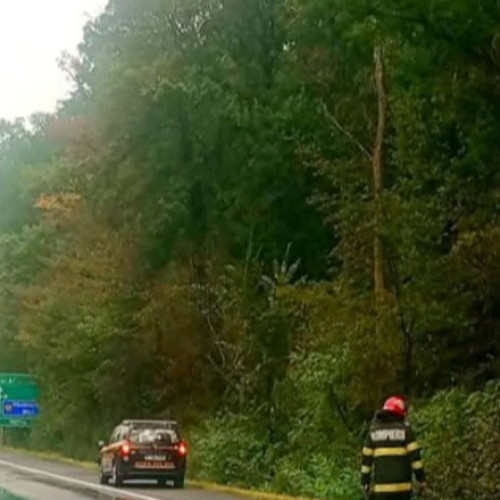 Ipoteză șocantă în cazul accidentului de pe A1. Gestul făcut de cei doi tineri, înainte de a fi loviți de un TIR