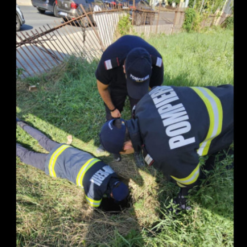 Pompierii au salvat un câine căzut în canal. ISU cere „semnalizarea zonelor cu risc, vizibilă atât pentru oameni cât și pentru animale”