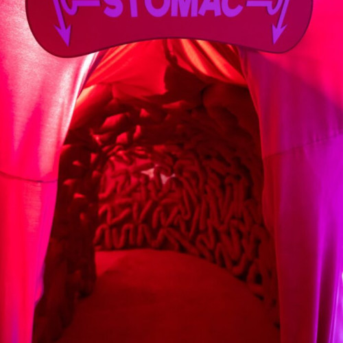 Două expoziții interactive au fost deschise la Muzeul Copiilor din București