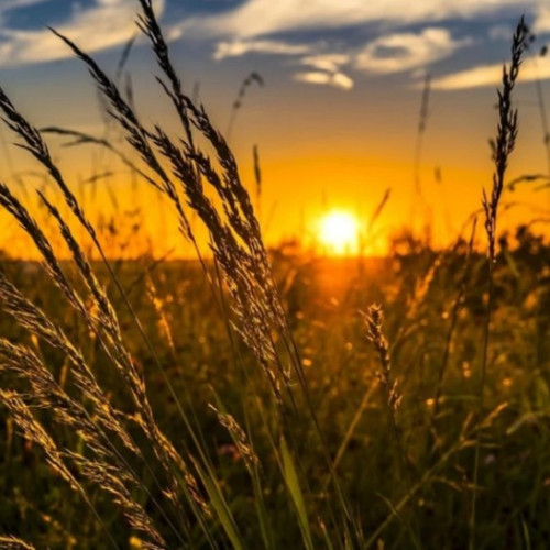 Vreme extreme în Botoșani: cea mai rece seară de vară din ultimii ani