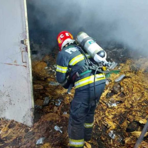 Incendiu major în Buftea, județul Ilfov