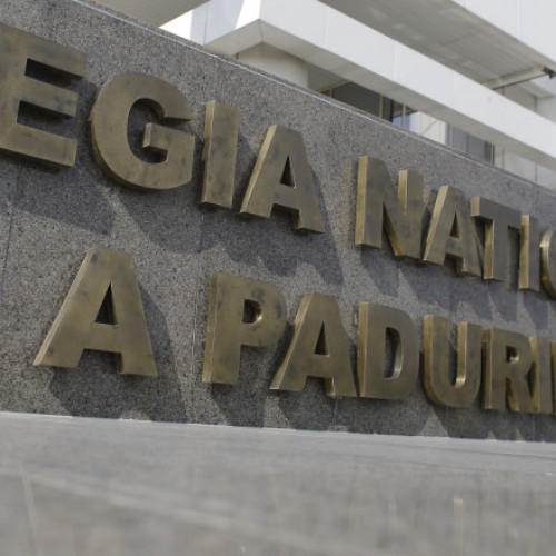 Dezbatere publică pentru selectarea conducătorului Romsilva