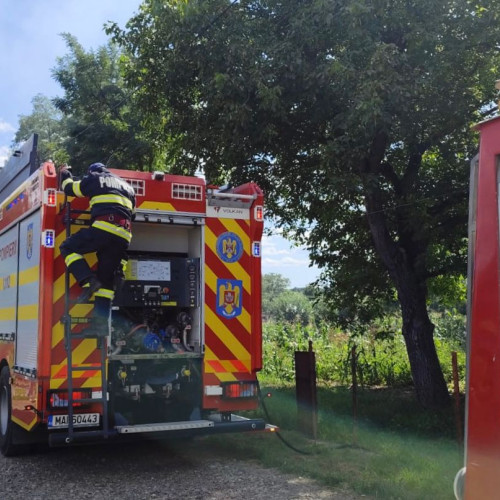 Femeie din Botoșani și-a incendiat gospodăria în încercarea de a curăța adăpostul păsărilor