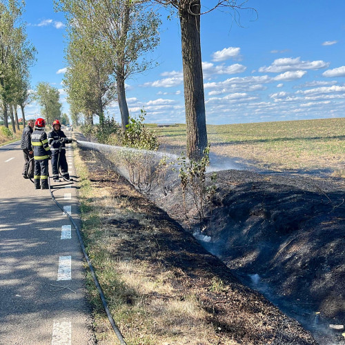 Incendiu la vegetație uscată aproape de drumurile din județul Botoșani