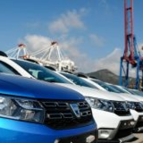 Două lebede aflate într-o stare de sănătate precară, salvate de polițiștii din Ilfov