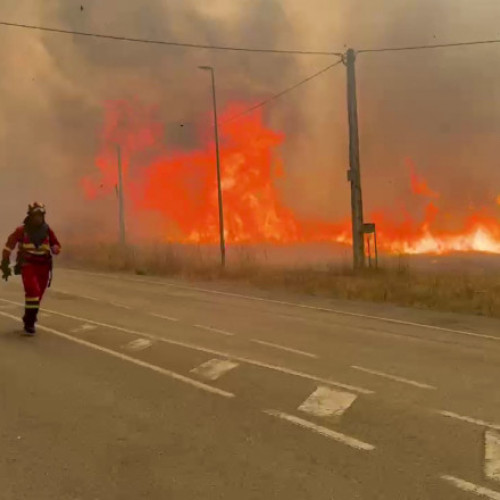 Incendiile de vegetație au distrus peste un milion de hectare în Uniunea Europeană în 2023