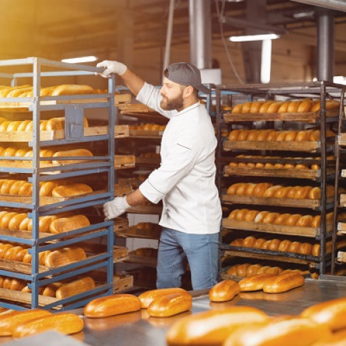 firma din Botoșani intenționează să construiască o brutarie în municipiu