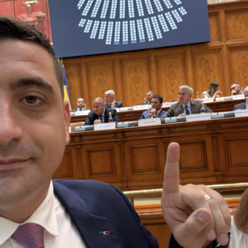 Controversă în România după un incident cu lebede și un sondaj pe Facebook