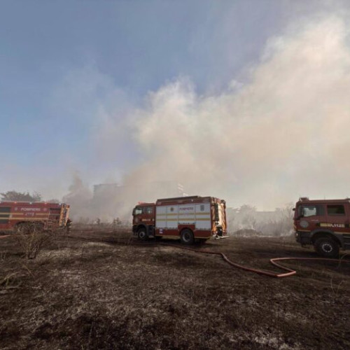 Incendiu de vegetație pe strada Piscul Crasani din București-Ilfov