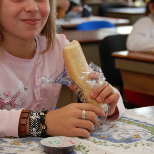 Consiliul județean Sibiu își asumă conducerea programului pentru școli