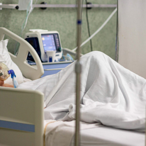 Două cazuri de infectare cu virusul West Nile, confirmate în județul Timiș