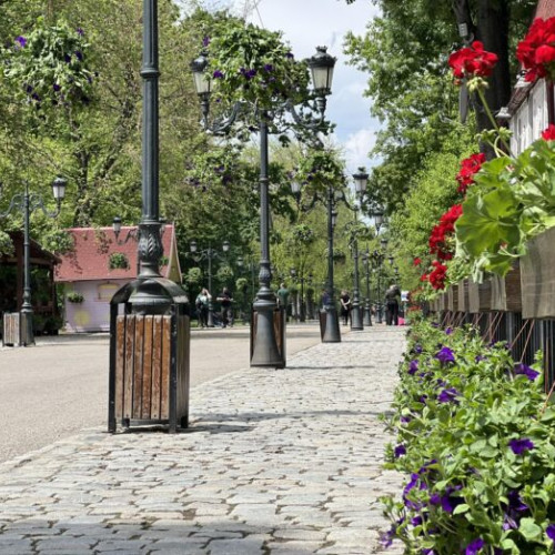 modificați reguli în parcarea din Mogoșoaia pentru siguranță și protecție