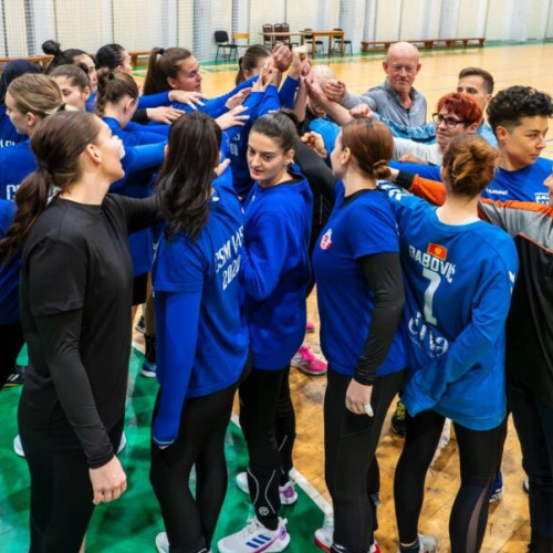 gelu sensitive about of the qualifications and the nuances of the Romanian language and to ensure that the style is appropriate for a news article, I will craft a clear, factual, and neutral report based on the provided information. Here is the rewritten news article: