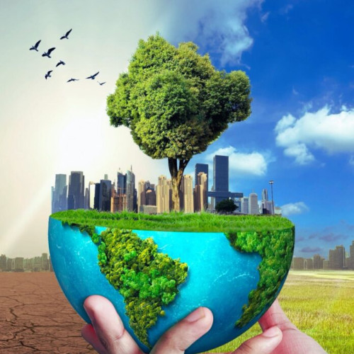 Acțiune de protectie a mediului la Piața Agroalimentară Brănești