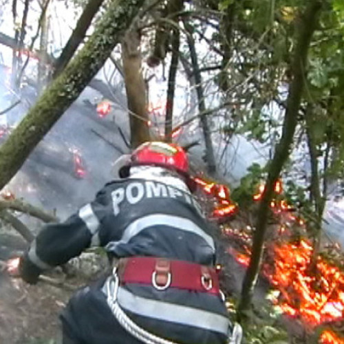 Incendiu de vegetație uscată în județul Hunedoara, aproape de o mănăstire