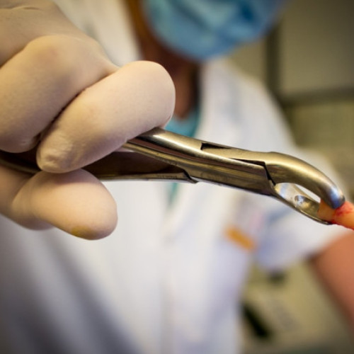 Românii sunt printre cei mai afectați cetățeni din UE de lipsa accesului la servicii stomatologice. Cum stau alte țări