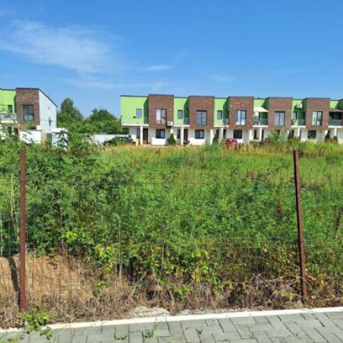 Alergia la ambrozie: diagnosticul, simptomele și recomandările medicilor