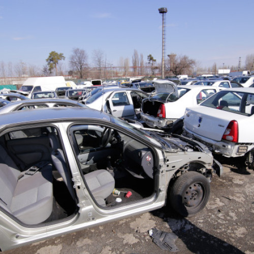 Rabla 2025 pentru persoane fizice va începe până la finalul lunii septembrie, anunță ministrul Mediului