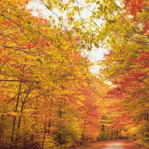 Prognoza ANM pentru septembrie: începuturi cu temperaturi mai ridicate în sud, apoi valori normale în rest