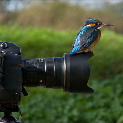 Ecotic și UZPR lansează a doua ediție a concursului „Jurnalism pentru un mediu curat”