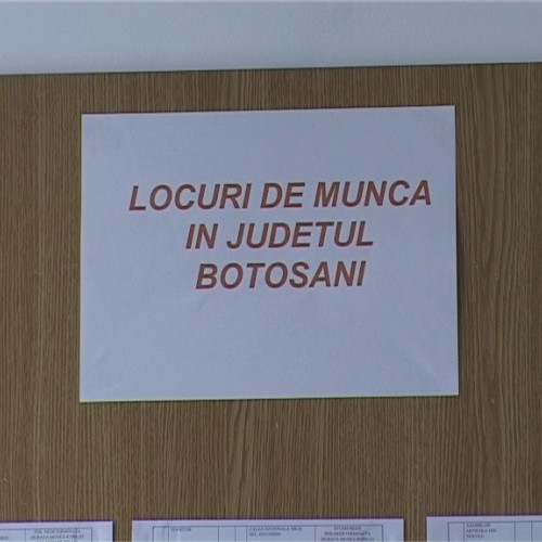 Șomeri Botoșăneni pot opta, în această săptămână, la 233 de locuri de muncă vacante