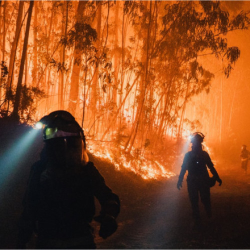 Incendiile de vegetație din Europa au fost agravate de depopularea satelor
