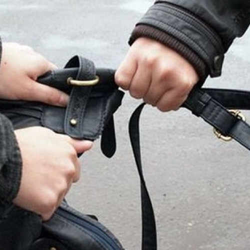 Tânăr din Slatina reținut pentru tâlhărie într-o societate comercială