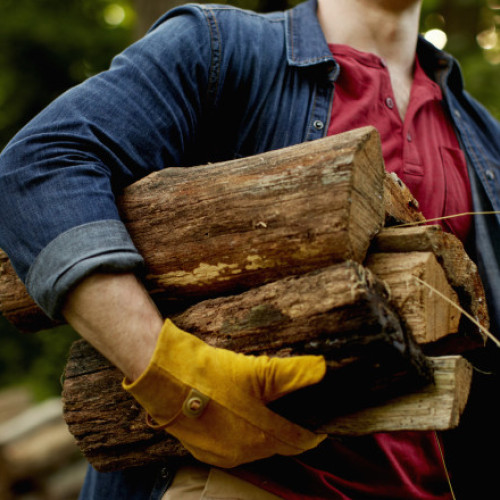 Creșterea prețului lemnelor afectează 3,5 milioane de gospodării