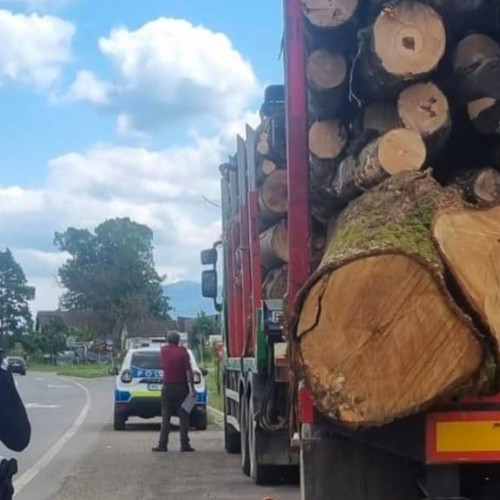 Poliția din Caraș-Severin a confiscat peste 300 metri cubi de lemn în acțiune silvică