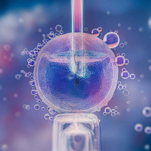 Guvernul, cerut să aloce fonduri pentru 5.000 de proceduri FIV